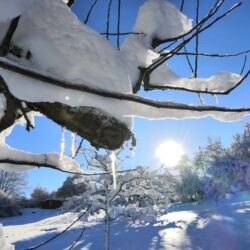 Wir wünschen euch … eine Hand, die euch festhält, ein Netz, das euch auffängt, ein Schild, das euch die Richtung weist und 1.000 Sterne, die euren Weg erhellen.