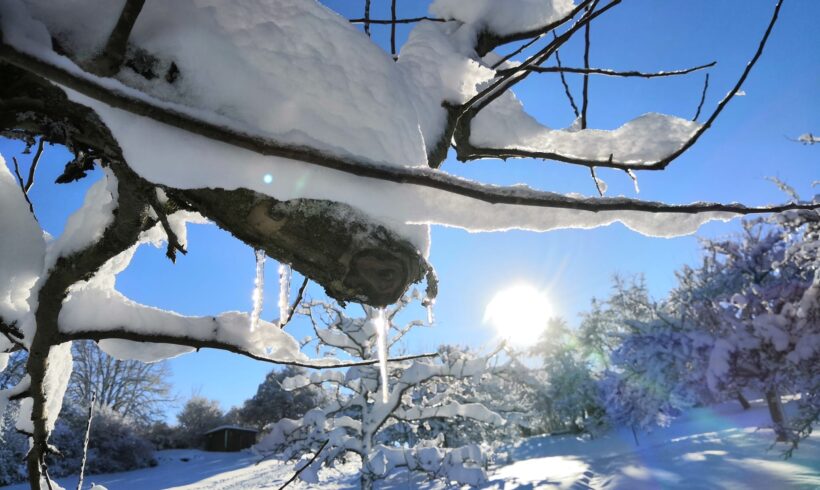 Wir wünschen euch … eine Hand, die euch festhält, ein Netz, das euch auffängt, ein Schild, das euch die Richtung weist und 1.000 Sterne, die euren Weg erhellen. Wir wünschen euch … eine Hand, die euch festhält, ein Netz, das euch auffängt, ein Schild, das euch die Richtung weist und 1.000 Sterne, die euren Weg erhellen.