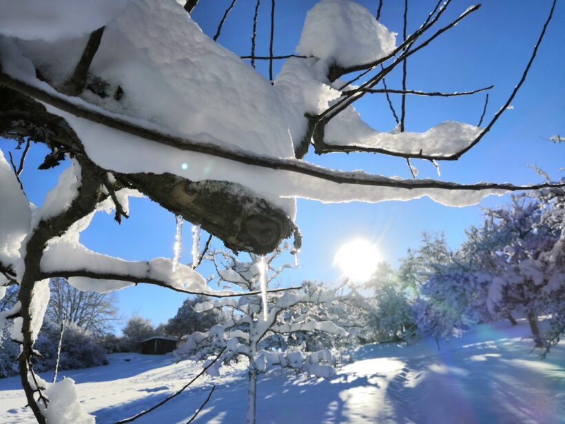 Wir wünschen euch … eine Hand, die euch festhält, ein Netz, das euch auffängt, ein Schild, das euch die Richtung weist und 1.000 Sterne, die euren Weg erhellen. Wir wünschen euch … eine Hand, die euch festhält, ein Netz, das euch auffängt, ein Schild, das euch die Richtung weist und 1.000 Sterne, die euren Weg erhellen.