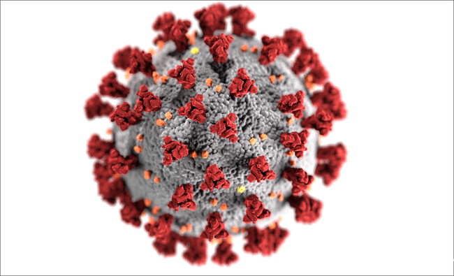 coronavirus-alternativbild
