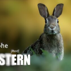 NewsLETTER April ’26