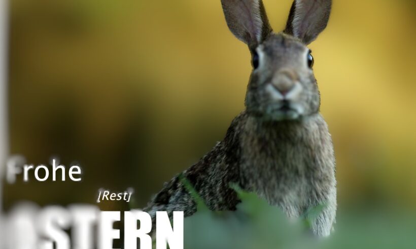 NewsLETTER April ’26