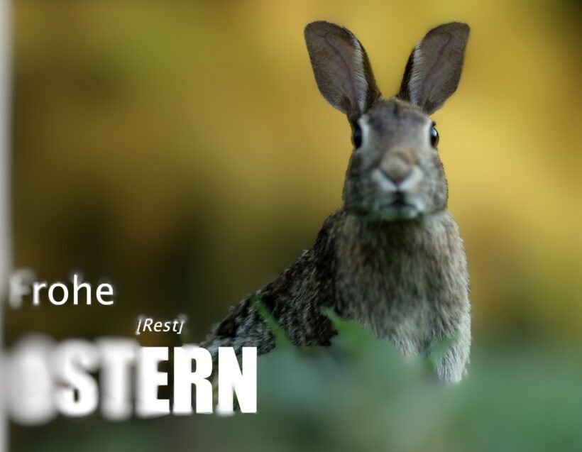 NewsLETTER April ’26